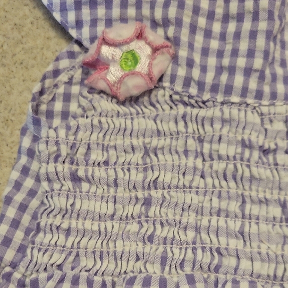 Real Love Purple Gingham Kids Dress with Floral Accents SIZE 24 Months - Picture 3 of 6